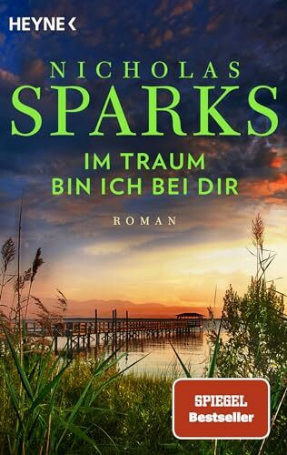 Im Traum bin ich bei dir: Roman