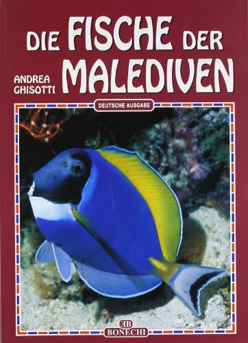 Pesci delle Maldive. Ediz. tedesca (Il fantastico mondo della natura)