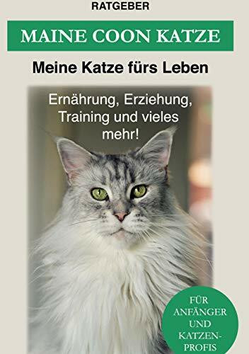 Maine Coon: Maine Coon Katze Ratgeber - Erziehung, Ernährung und Pflege