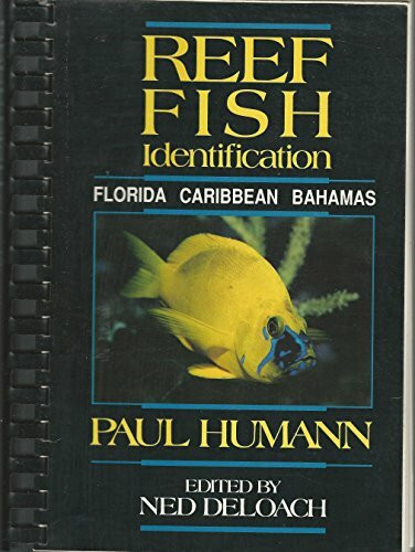 Reef Fish Identification
