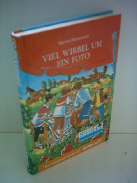 Neues vom Süderhof, Bd.28, Viel Wirbel um ein Foto