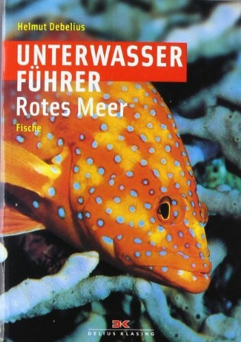 Unterwasserführer Rotes Meer - Fische: Dtsch.-Engl.