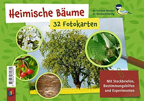 Heimische Bäume – 32 Fotokarten: Mit Steckbriefen, Bestimmungshilfen und Experimenten