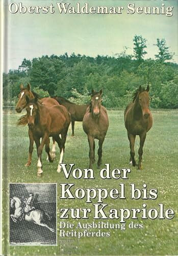 Von der Koppel bis zur Kapriole