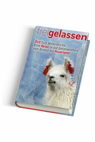 freigelassen: iBurn-out: Zeit fürs Wesentliche. Eine Reise in die Gelassenheit von Alaska bis Feuerland.