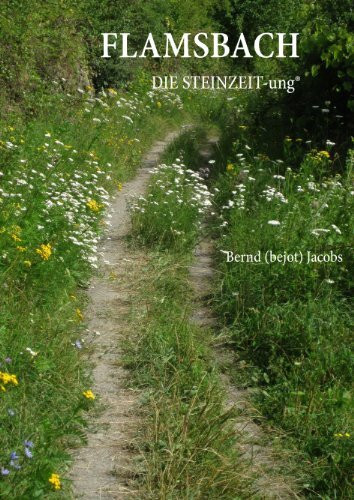 Flamsbach: DIE STEINZEIT-ung®