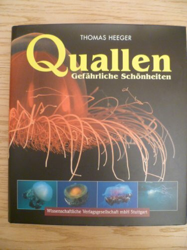 Quallen - Gefährliche Schönheiten