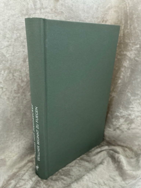 Wallner beginnt zu fliegen: Roman. Ausgezeichnet mit dem Aspekte-Literatur-Preis 2007 (Debütromane in der FVA)