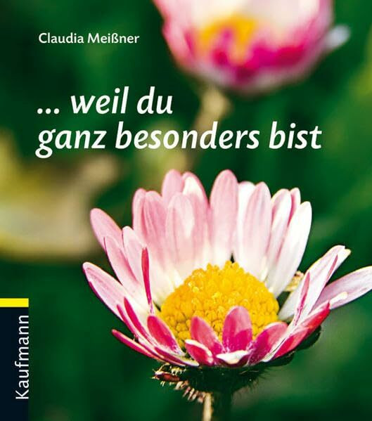 ... weil du ganz besonders bist (Lahrer Geschenkhefte)