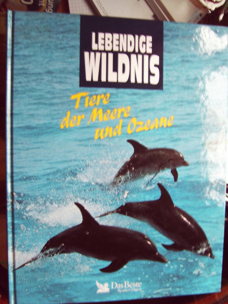 Tiere der Meere und Ozeane : Delphine, Buckelwale, Haie, Kraken, Aale, Korallen, Orkas, Quallen.