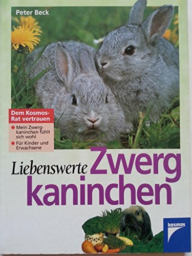 Liebenswerte Zwergkaninchen