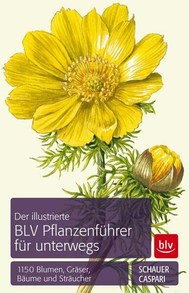 Der illustrierte BLV Pflanzenführer für unterwegs: 1150 Blumen, Gräser, Bäume und Sträucher