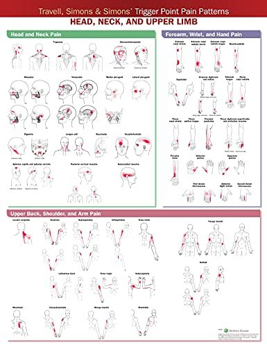 Travell, Simons & Simons Trigger Point Pain Patterns Wall Chart: Head, Neck, and Upper Limb Travell, Simons & Simons Trigger Point Pain Patterns Wall Chart: Head, Neck, and Upper Limb