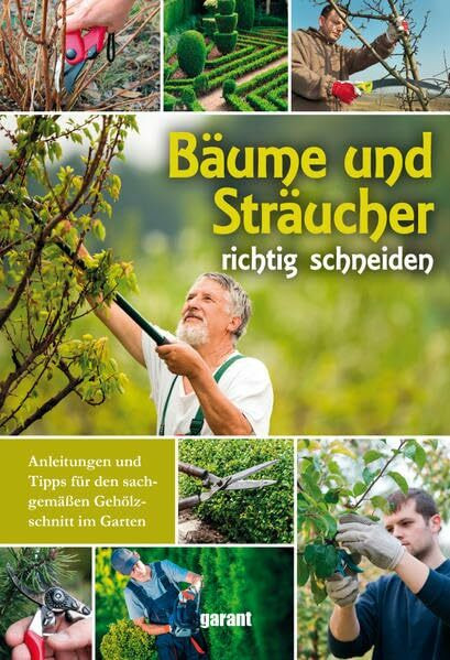 Bäume und Sträucher richtig schneiden: Anleitungen und Tipps für den sachgemäßen Gehölzschnitt im Garten