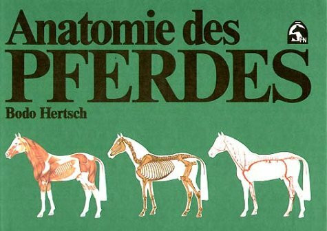 Anatomie des Pferdes