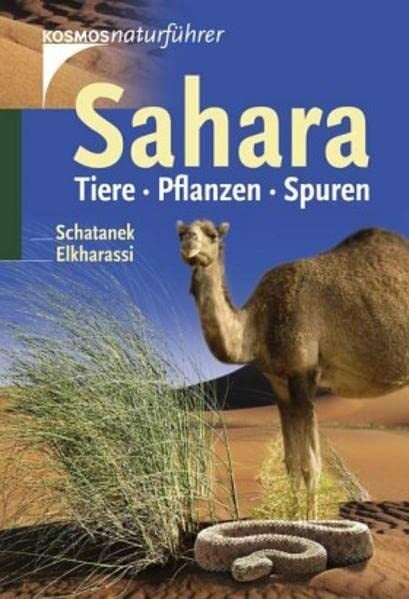 Sahara: Tiere, Pflanzen, Spuren Sahara: Tiere, Pflanzen, Spuren
