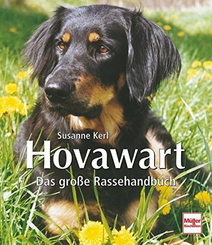 Hovawart