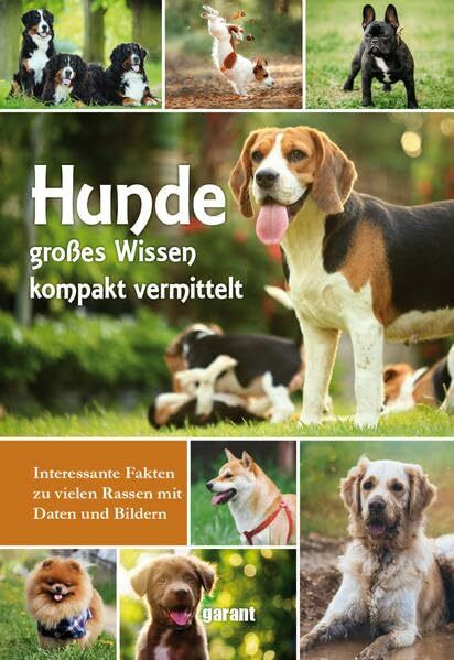 Ratgeber Hunde