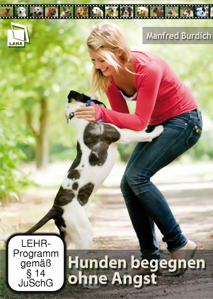 Hunde begegnen ohne Angst