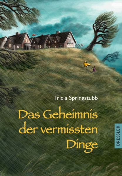 Das Geheimnis der vermissten Dinge (Mo, Band 1)