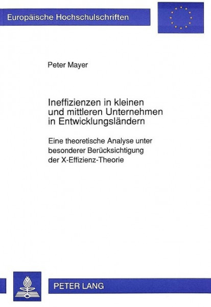 Ineffizienzen in kleinen und mittleren Unternehmen in Entwicklungsländern