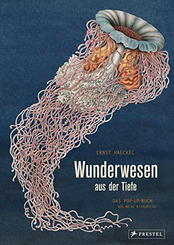 Wunderwesen aus der Tiefe. Ernst Haeckel: Das Pop-up-Buch