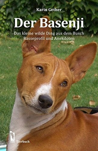 Der Basenji: Das kleine wilde Ding aus dem Busch - Rasseprofil und Anekdoten