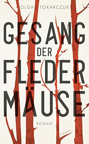 Gesang der Fledermäuse: Roman