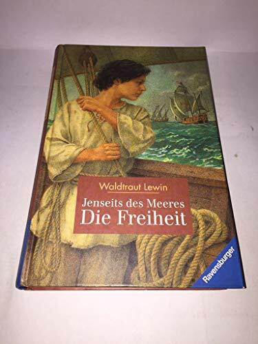 Jenseits des Meeres -Die Freiheit (Jugendliteratur ab 12 Jahre)