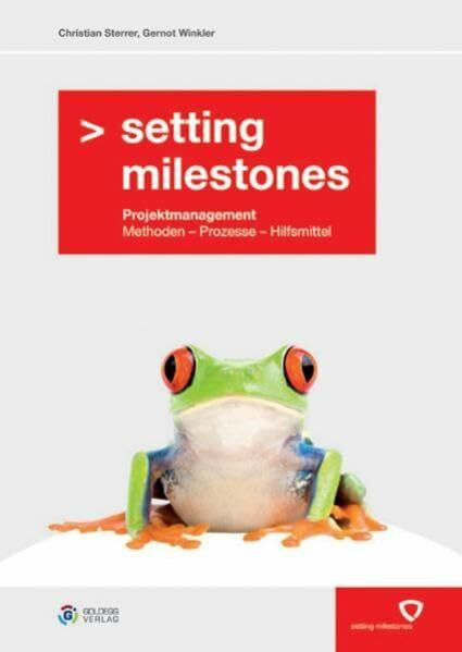 Setting Milestones: Projektmanagement Methoden - Prozesse - Hilfsmittel