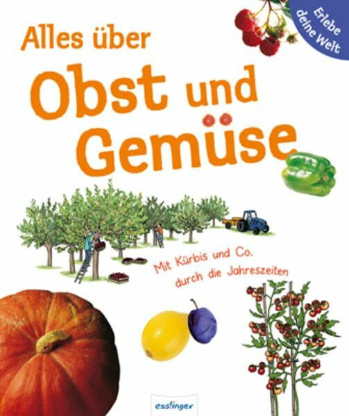 Alles über Obst und Gemüse. Erlebe deine Welt: Mit Kürbis & Co. durch die Jahreszeiten