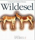 Wildesel