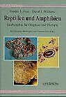 Reptilien und Amphibien: Atlas für Diagnose und Therapie