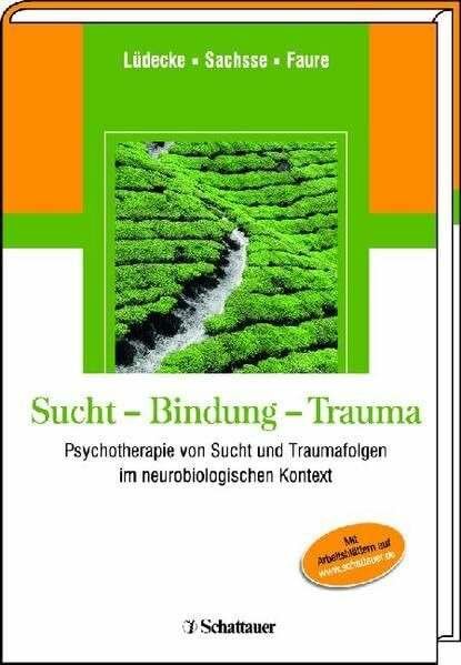 Sucht - Bindung - Trauma: Psychotherapie von Sucht und Traumafolgen im neurobiologischen Kontext