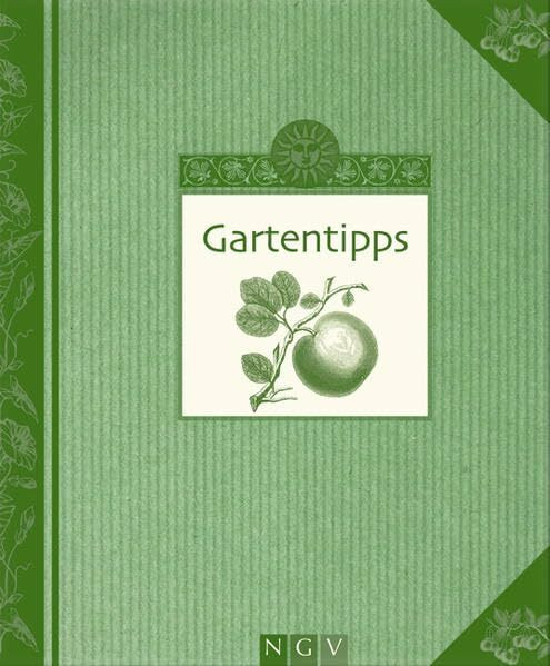 Gartentipps: Vom richtigen Umgang mit Pflanzen