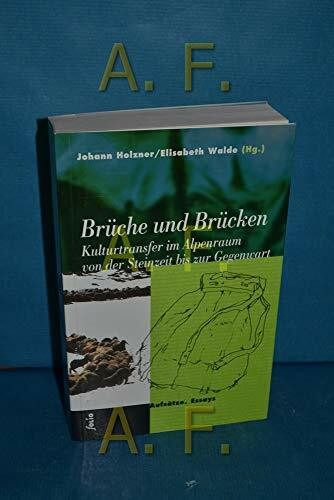 Brüche und Brücken: Kulturtransfer im Alpenraum von der Steinzeit bis zur Gegenwart. Aufsätze, Essays (Transfer Bibliothek)