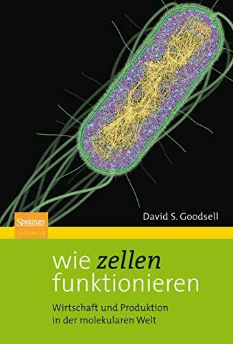 Wie Zellen funktionieren: Wirtschaft und Produktion in der molekularen Welt