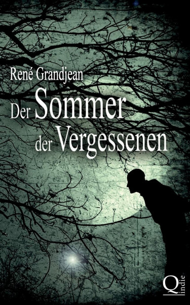 Der Sommer der Vergessenen: Band 1 von 2