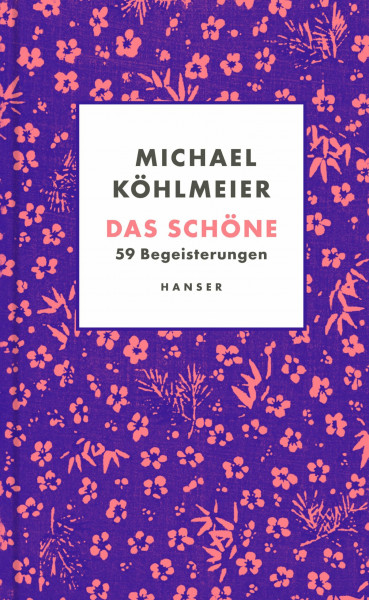 Das Schöne: 59 Begeisterungen