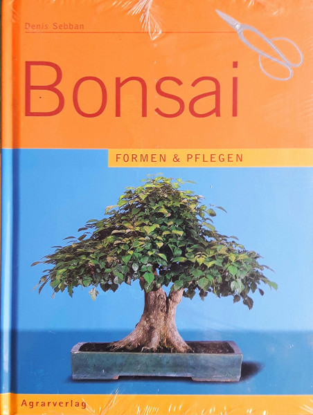 Bonsai: Formen und pflegen