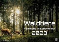 Waldtiere - Heimische Waldbewohner - Der Tierkalender - 2023 - Kalender DIN A2