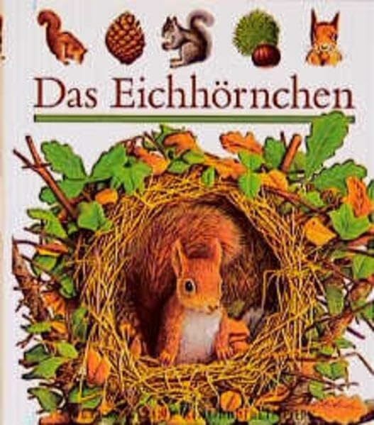 Das Eichhörnchen (Meyers kleine Kinderbibliothek)
