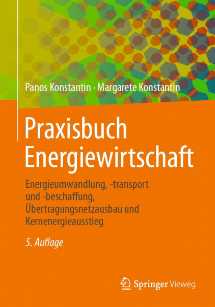 Praxisbuch Energiewirtschaft: Energieumwandlung, -transport und -beschaffung, Übertragungsnetzausbau und Kernenergieausstieg