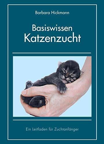 Basiswissen Katzenzucht: Ein Leitfaden für Zuchtanfänger