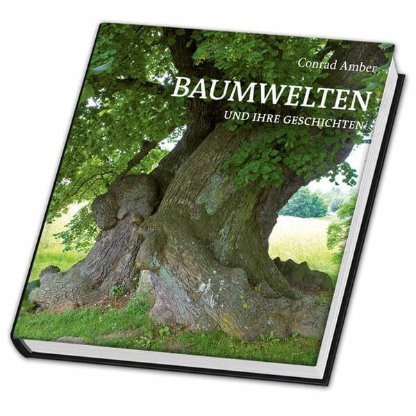 Baumwelten und ihre Geschichten