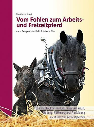 Vom Fohlen zum Arbeits- und Freizeitpferd