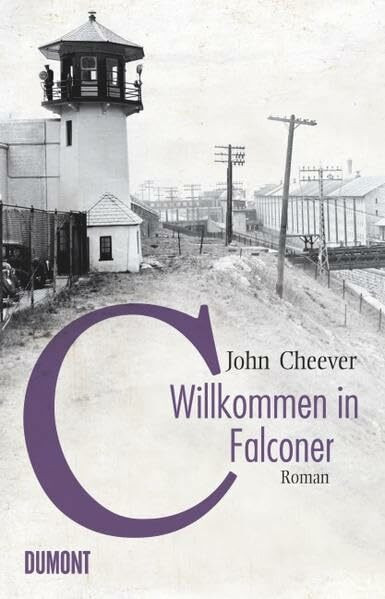 Willkommen in Falconer: Roman