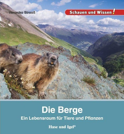 Die Berge