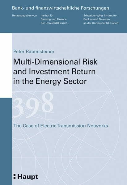 Multi-Dimensional Risk and Investment Return in the Energy Sector: The Case of Electric Transmission Networks (Bank- und finanzwirtschaftliche Forschungen)