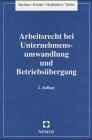 Handbuch Arbeitsrecht bei Unternehmensumwandlung und Betriebsübergang